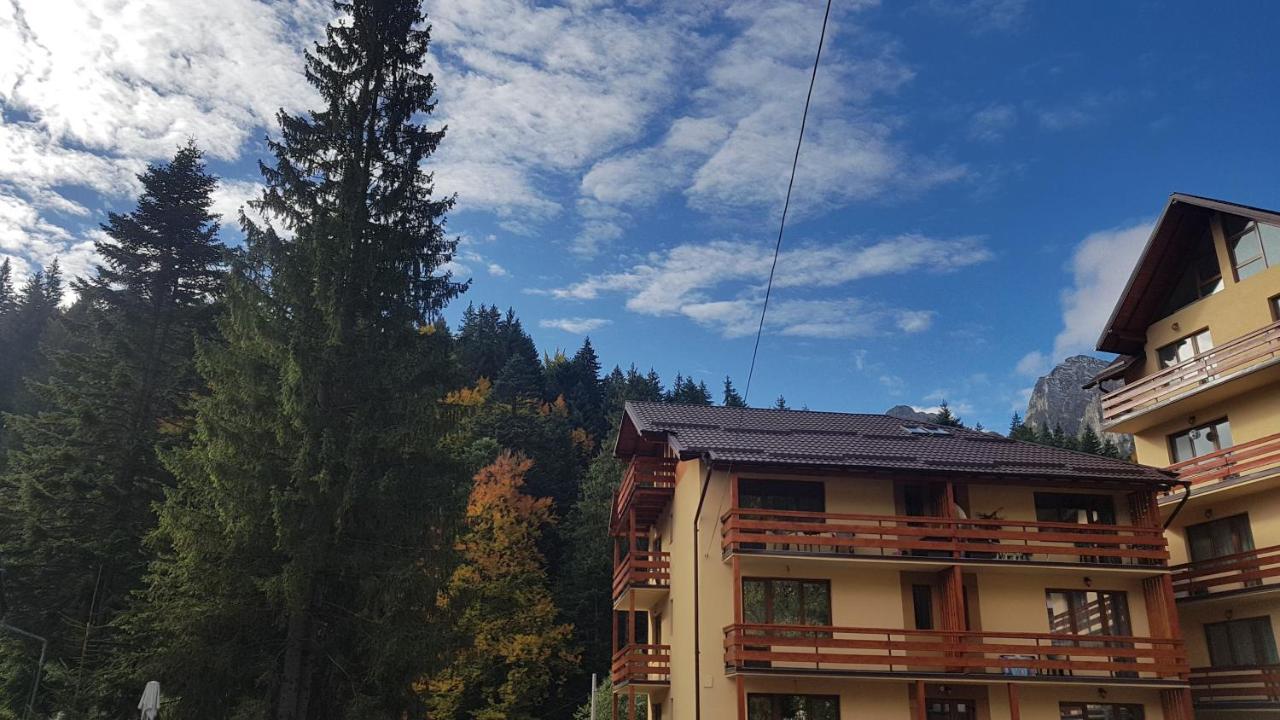 Apartament Lexannona Buşteni Extérieur photo