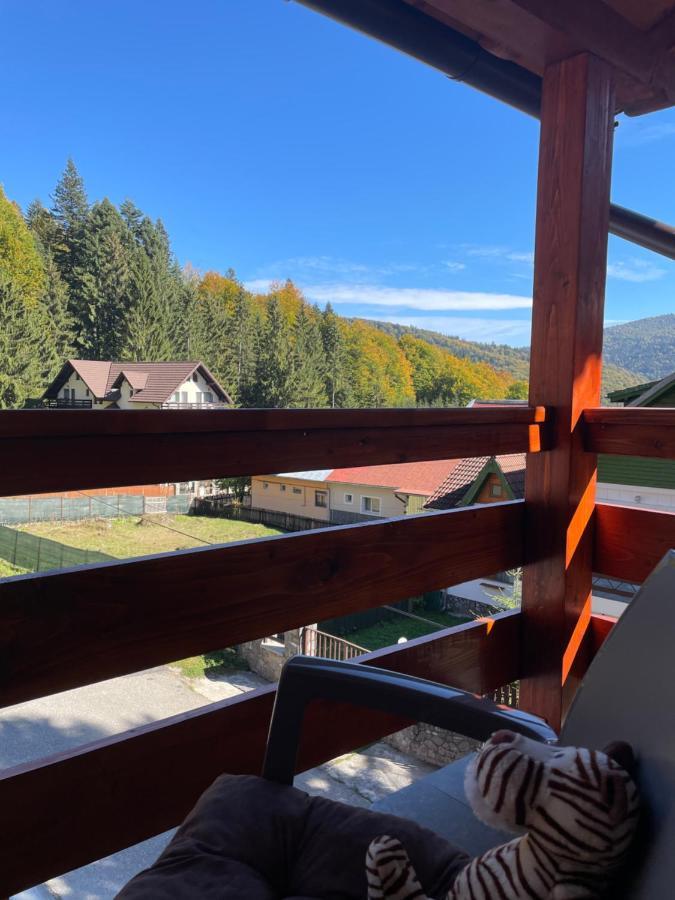 Apartament Lexannona Buşteni Extérieur photo