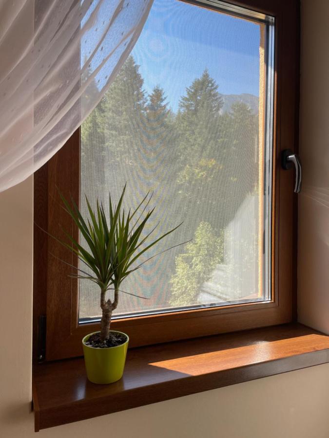 Apartament Lexannona Buşteni Extérieur photo