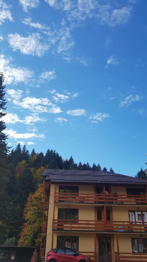 Apartament Lexannona Buşteni Extérieur photo