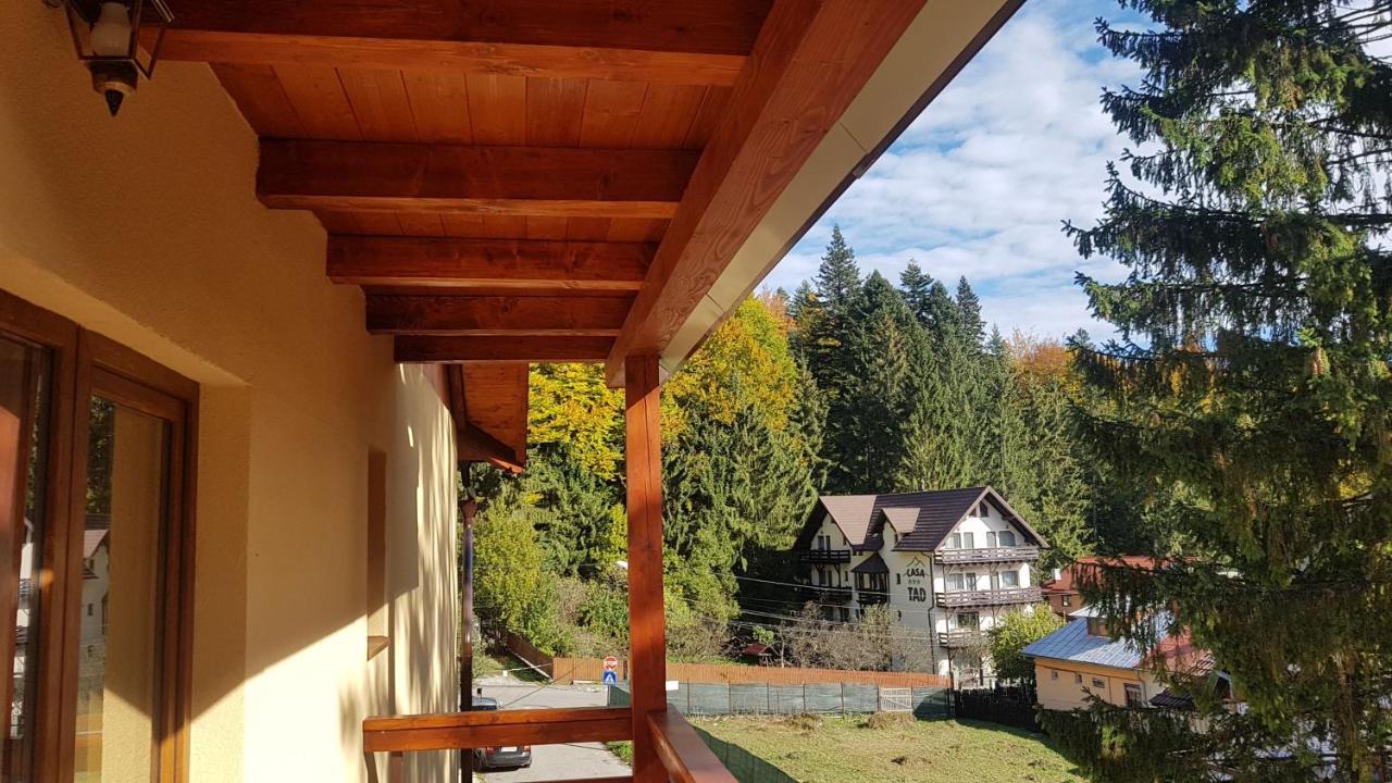 Apartament Lexannona Buşteni Extérieur photo