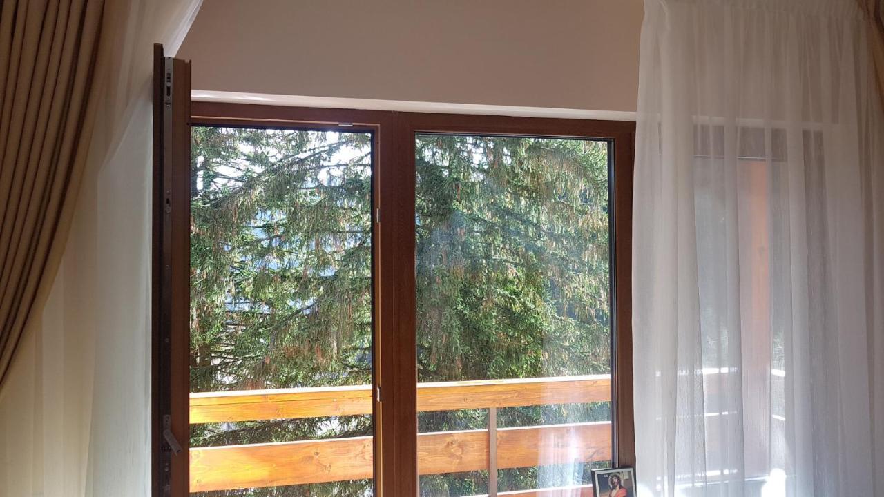Apartament Lexannona Buşteni Extérieur photo