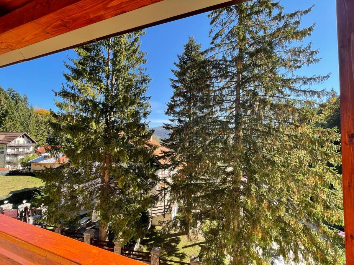 Apartament Lexannona Buşteni Extérieur photo