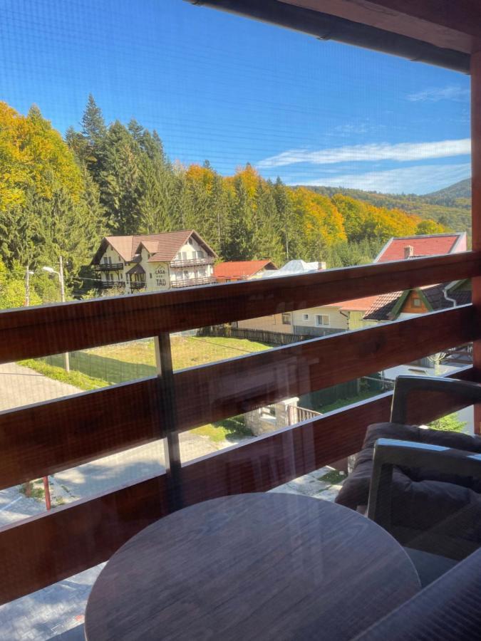 Apartament Lexannona Buşteni Extérieur photo